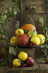 Quitten (Cydonia oblonga) mit Blättern, Hokkaidokürbisse (Cucurbita maxima), Äpfel und Hagebutten auf rustikaler Holzkiste - ASF06559