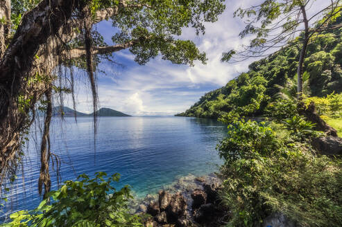 Papua-Neuguinea, Provinz Ost-Neubritannien, Rabaul, Bewaldete Küste der Insel Neubritannien an einem sonnigen Tag - THAF02664