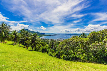 Papua-Neuguinea, Provinz Ost-Neubritannien, Rabaul, Wolken über Palmen, die auf einem grünen Hügel der Insel Neubritannien wachsen - THAF02668