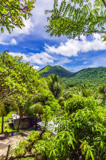 Papua-Neuguinea, Provinz Ost-Neubritannien, Rabaul, Hütten inmitten des grünen, üppigen Waldes der Insel Neubritannien - THAF02669