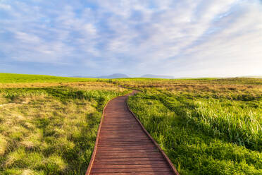 Schottland, Orkney, Loch of Harray, Naturschutzgebiet Boardwalk - SMAF01772