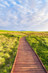 Scotland, Orkney, Loch of Harray, nature reserve boardwalk - SMAF01774