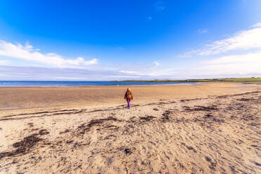 Schottland, Orkney-Inseln, South Ronaldsay, Rückansicht einer spazierenden Frau in einer Landschaft - SMAF01777