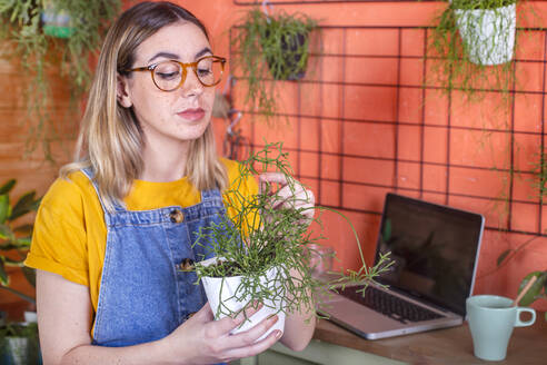 Woman taking care of a Rhipsalis plant on her terrace - RTBF01392