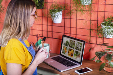 Woman using laptop on her terrace - RTBF01395