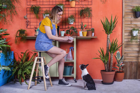 Frau fotografiert ihren Hund mit dem Handy auf der Terrasse, lizenzfreies Stockfoto