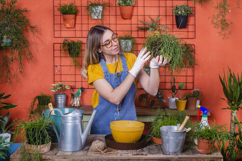 Frau untersucht die Rhipsalis-Pflanze auf ihrer Terrasse - RTBF01413