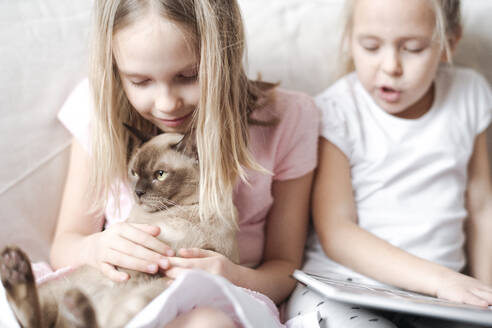 Lächelndes kleines Mädchen, das eine burmesische Katze streichelt, während ihre Schwester ein Buch liest - EYAF00915