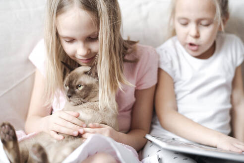 Smiling little girl stroking Burmese cat while her sister reading a book - EYAF00915