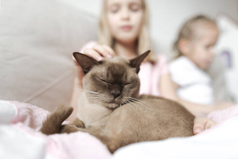 Portrait of Burmese cat with eyes closed relaxing with girls on the couch - EYAF00916