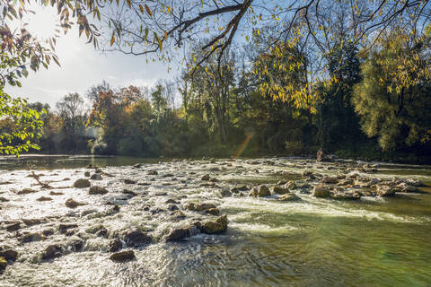 Isar im nördlichen Englischen Garten im Herbst, Oberfohring, München, Deutschland, lizenzfreies Stockfoto