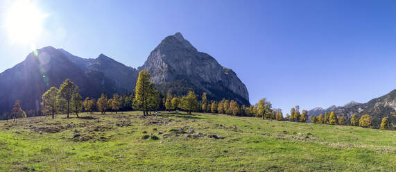 Großer Ahornboden im Karwendelgebirge im Herbst, Hinteriss, Österreich - MAMF01095