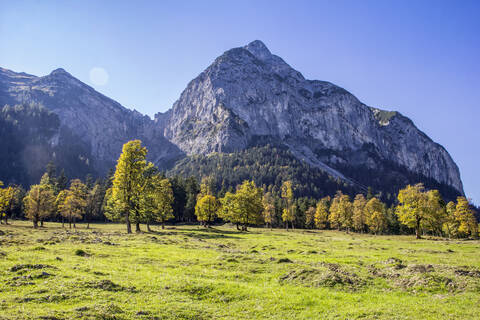 Großer Ahornboden im Karwendelgebirge im Herbst, Hinteriss, Österreich, lizenzfreies Stockfoto