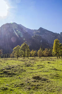 Großer Ahornboden im Karwendelgebirge im Herbst, Hinteriss, Österreich - MAMF01101