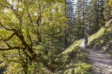 Mann beim Wandern im Karwendelgebirge im Herbst, Hinteriss, Österreich - MAMF01104