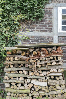 Holzstapel vor einem Fachwerkhaus - EYAF00922
