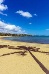 Australien, Queensland, Airlie Beach, Palme wirft Schatten auf sandigen Küstenstrand - THAF02680