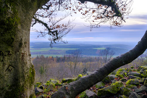 Deutschland, Bayern, Neustadt am Kulm, Blick vom Gipfel des Rauher Kulm im Herbst - LBF02871