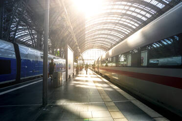 Germany, Hesse, Frankfurt, Sun shining through glass ceiling of Frankfurt (Main) Hauptbahnhof - PUF01872