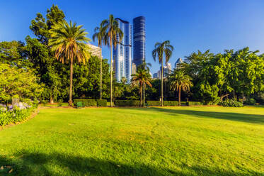 Australien, Brisbane, City Botanic Gardens und Wolkenkratzer - THAF02695