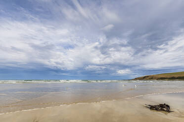 Neuseeland, Bewölkter Himmel über dem sandigen Küstenstrand der Purakaunui Bay - FOF11722