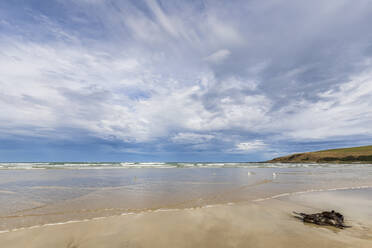 New Zealand, Cloudy sky over sandy coastal beach of Purakaunui Bay - FOF11722