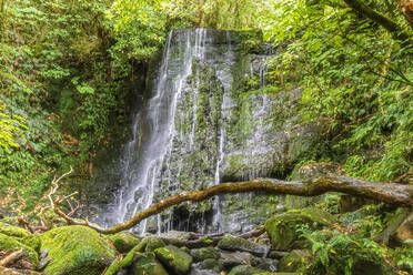 Neuseeland, Ozeanien, Südinsel, Otago, Caberfeidh, Maitai Falls - FOF11741