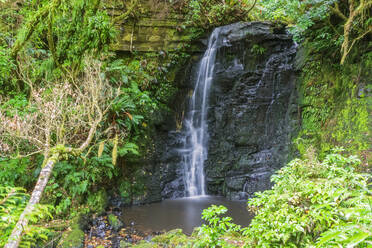 Neuseeland, Ozeanien, Südinsel, Otago, Caberfeidh, Maitai Falls - FOF11742