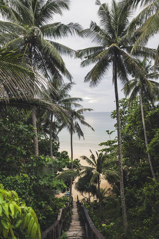 Path through palm tees towards Nai Thon Beach, Phuket, Thailand stock photo