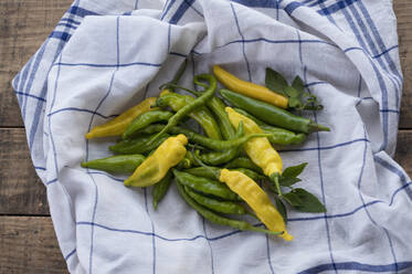 Gelbe und grüne Chilis (Paprika), Peperoni, mit Blättern auf dem Tisch - ASF06562