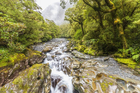 Neuseeland, Ozeanien, Südinsel, Südland, Fiordland National Park, Cleddau Fluss und Wasserfall - FOF11754