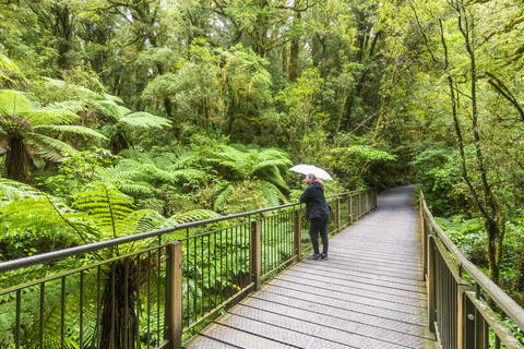 Neuseeland, Ozeanien, Südinsel, Südland, Fiordland National Park, Frau auf Promenade The Chasm Walk, lizenzfreies Stockfoto