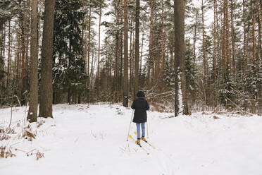 Back view of woman on skis in winter forest - KNTF04178