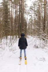 Rückenansicht einer Frau auf Skiern im Winterwald - KNTF04182