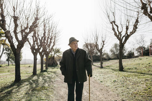 Alter Mann geht im Winterpark spazieren, stützt sich auf seine Akne - JRFF04094