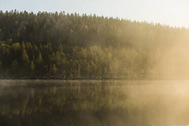 Wald am See - JOHF07373