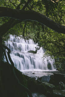 Blick auf den Wasserfall - JOHF07436