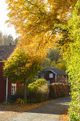 Wooden houses at autumn - JOHF07494