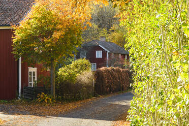 Wooden houses at autumn - JOHF07495