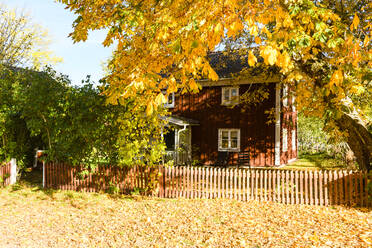 Wooden house at autumn - JOHF07497
