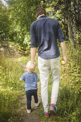 Full length rear view of father and son walking amidst plants at park - MASF16341