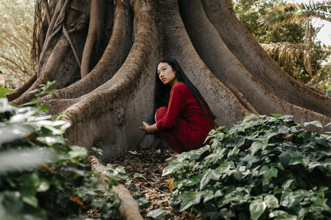 Schöne junge Frau in rotem Kleid, die an einem Baum mit großen Wurzeln hockt, lizenzfreies Stockfoto