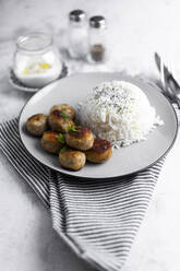 Plate of chicken meatballs with rice - GIOF07960