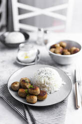 Plate of chicken meatballs with rice - GIOF07961