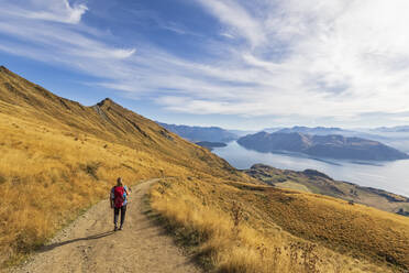 Woman hiking at Roys Peak, Lake Wanaka, New Zealand - FOF11842