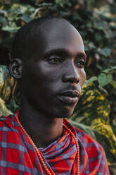 Maasai Mann in traditioneller Kleidung vor grünen Blättern stehend - CAVF74313