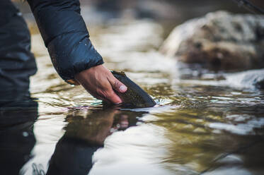 Ein Mann lässt an einem kalten Morgen in einem Fluss in Maine eine Forelle frei - CAVF74326