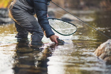 Ein Mann lässt an einem kalten Morgen in einem Fluss in Maine eine Forelle frei - CAVF74329