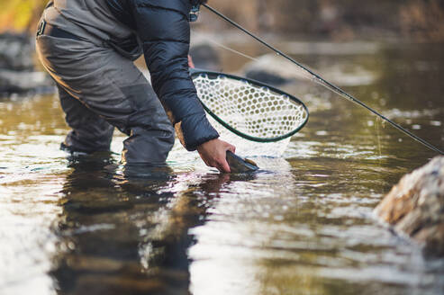 Ein Mann lässt an einem kalten Morgen in einem Fluss in Maine eine Forelle frei - CAVF74329