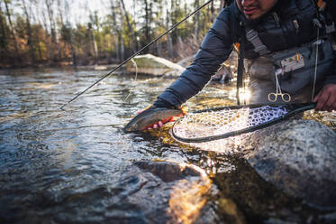 Ein Mann lässt eine große Bachforelle in einem Fluss in Maine frei - CAVF74338